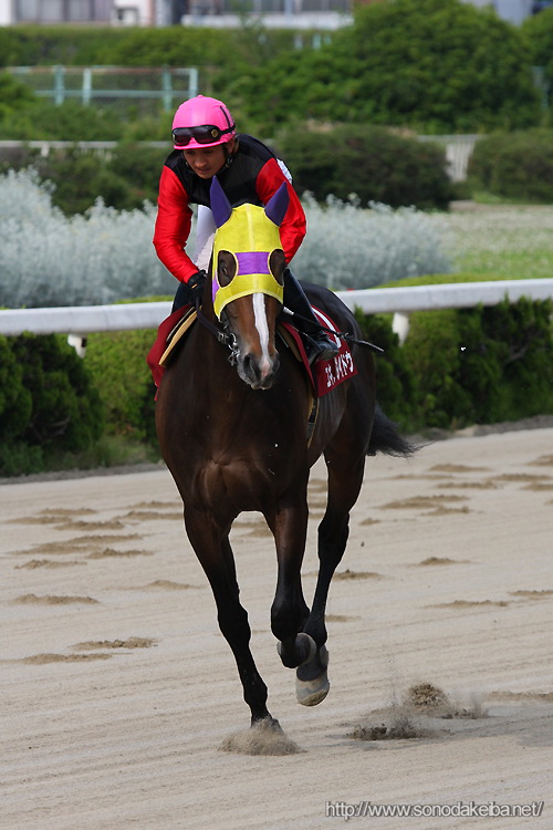 ���Ƀ_�[�r�[