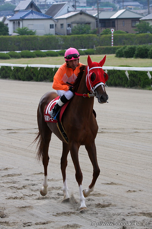 ���Ƀ_�[�r�[