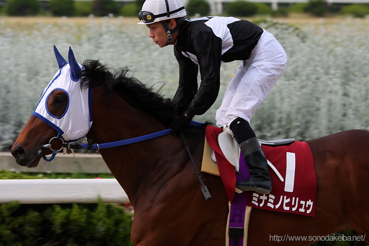 ���Ƀ_�[�r�[