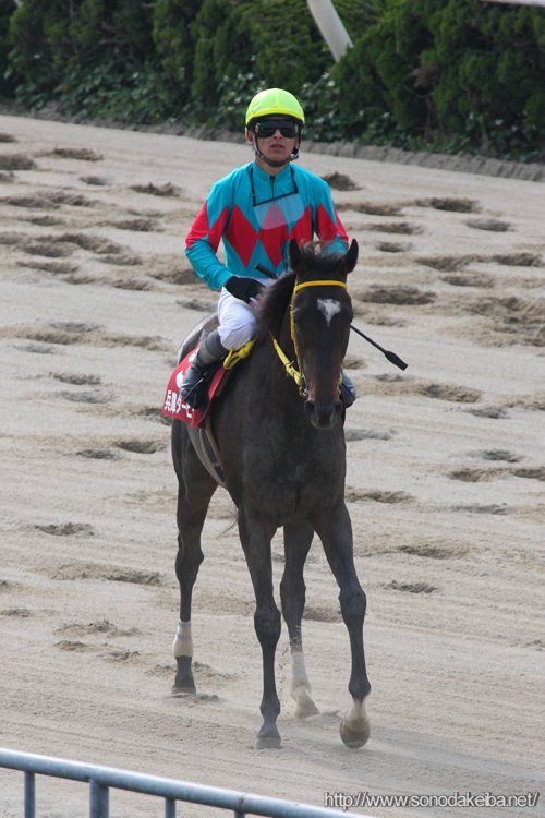 ���Ƀ_�[�r�[