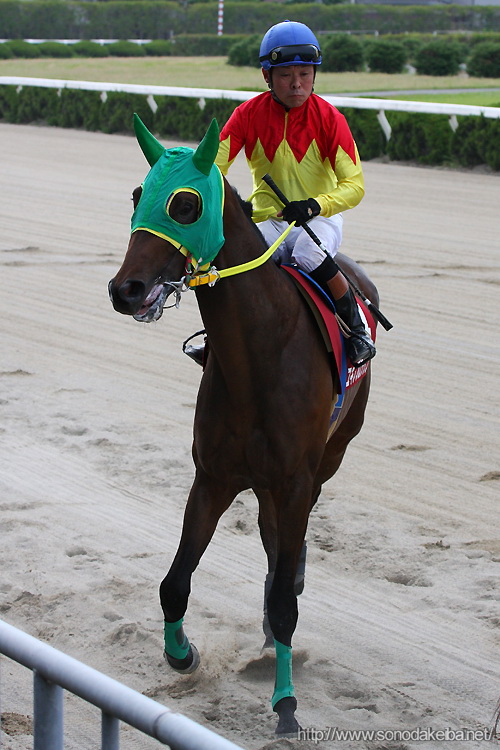 ���Ƀ_�[�r�[