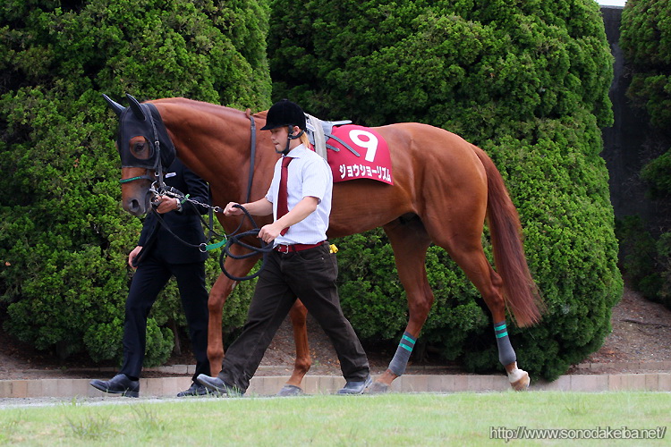 ���Ƀ_�[�r�[