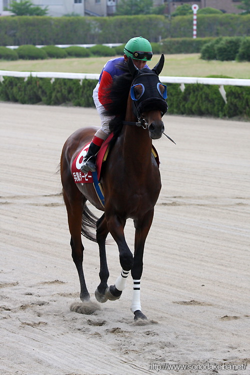 ���Ƀ_�[�r�[