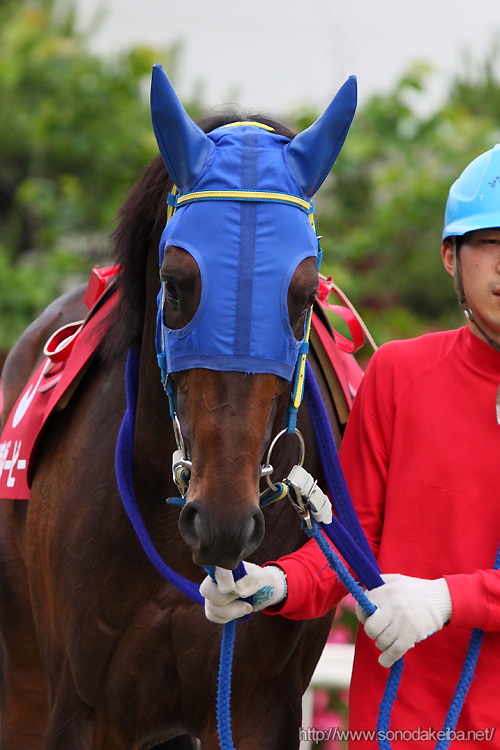 ���Ƀ_�[�r�[