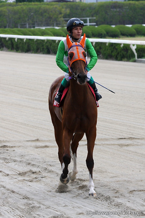 ���Ƀ_�[�r�[