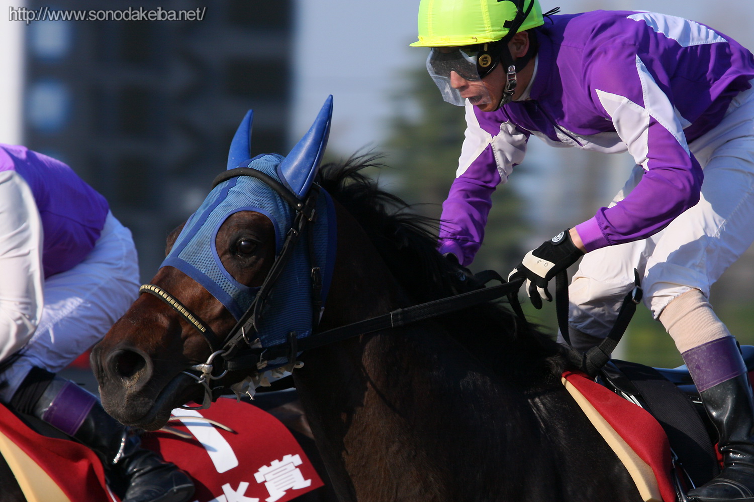 ��41��e����