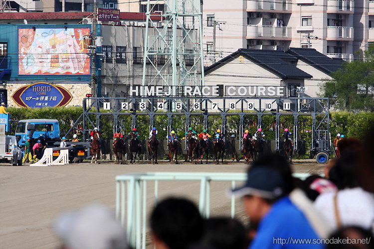 �̂�������