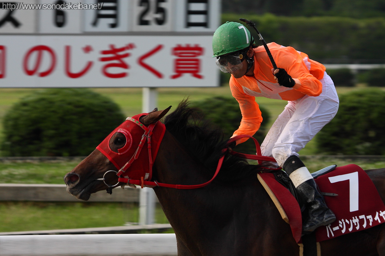 ��47��̂�������