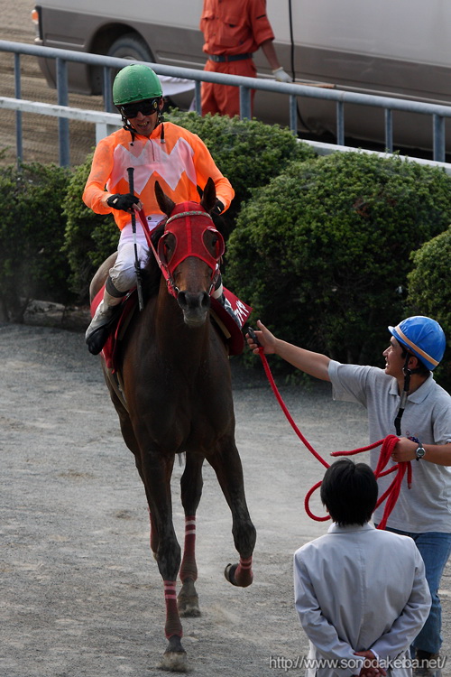 �̂�������