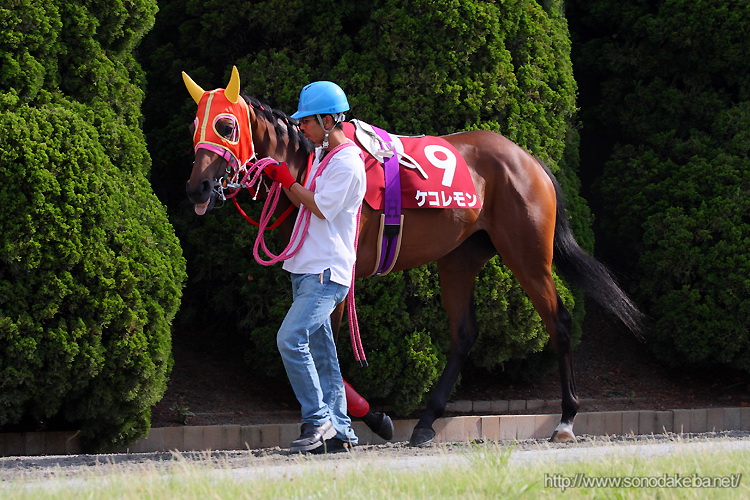 �̂�������