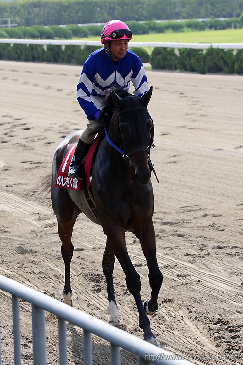 �̂�������