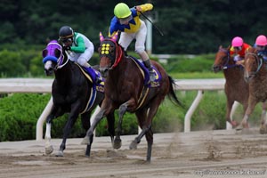 オッズパークグランプリ2009