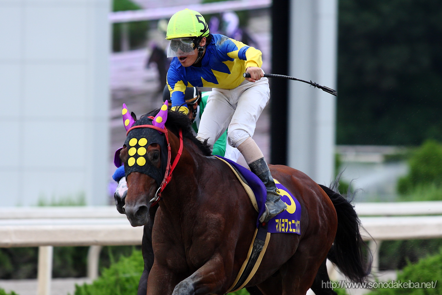 �I�b�Y�p�[�N�O�����v��2009