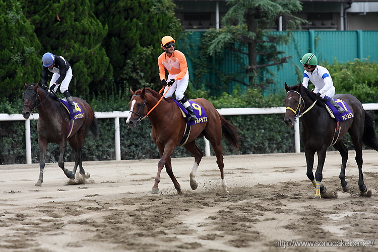 �I�b�Y�p�[�N�O�����v��2009