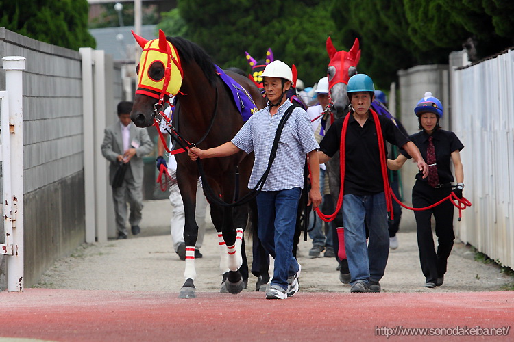 �I�b�Y�p�[�N�O�����v��2009