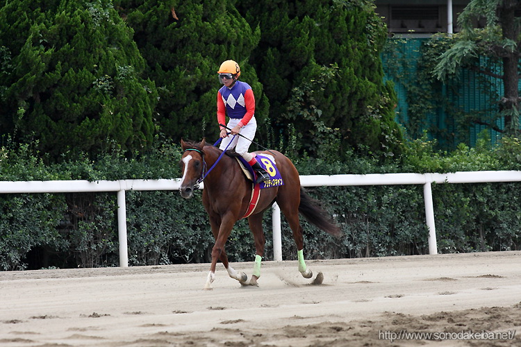 �I�b�Y�p�[�N�O�����v��2009