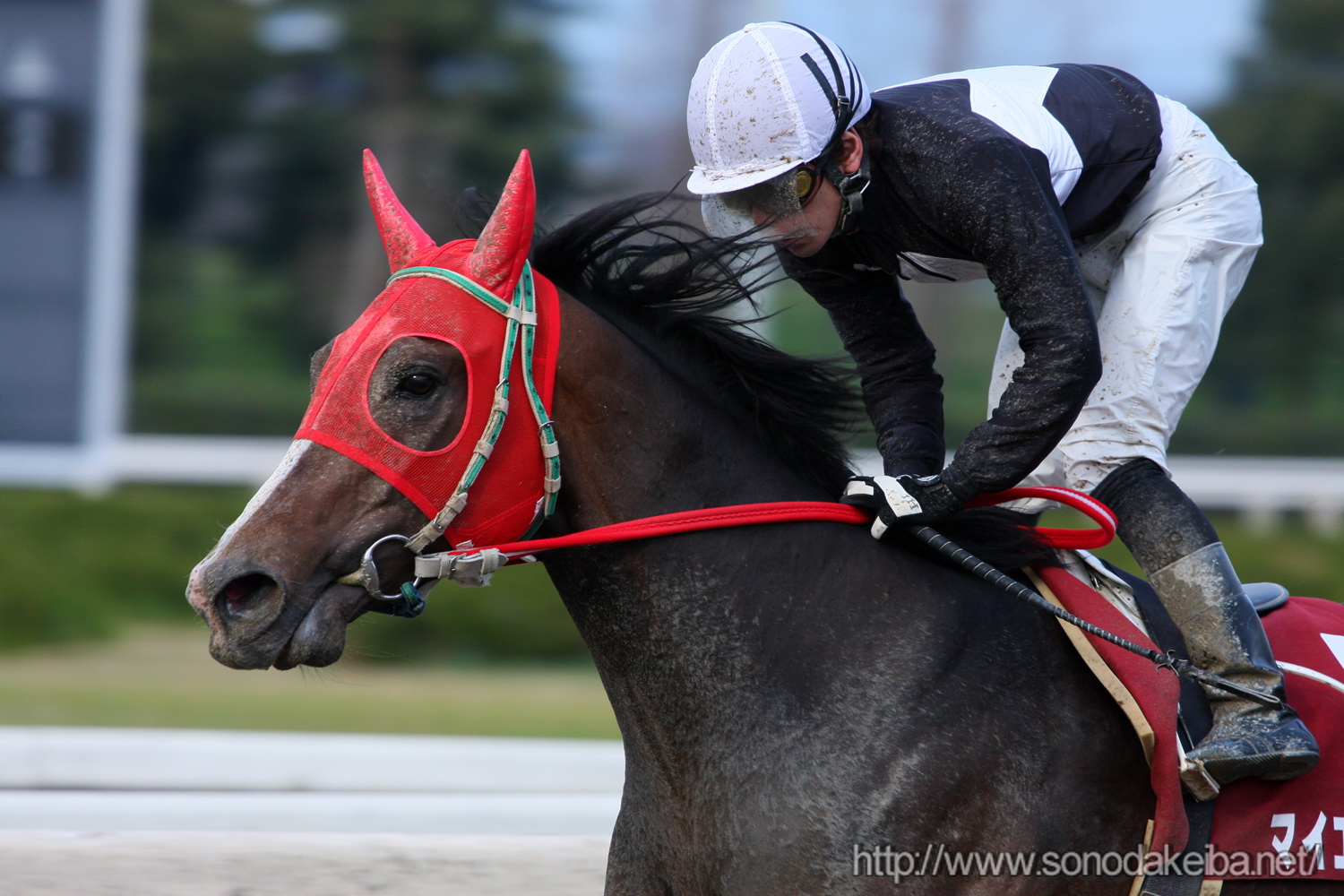 ��46��Z�b�u