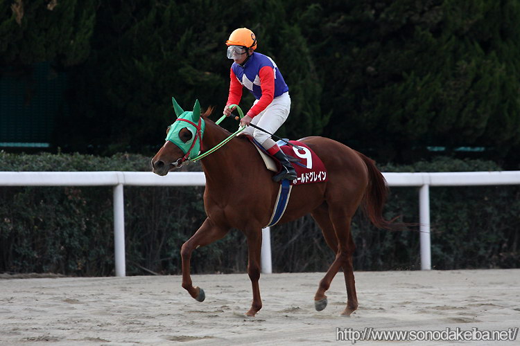 �{�[���h�O���C��