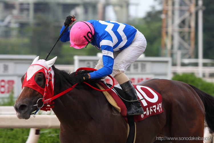 �z�[���h�}�C����