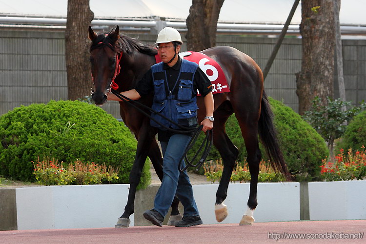 �I�O���X�L�[