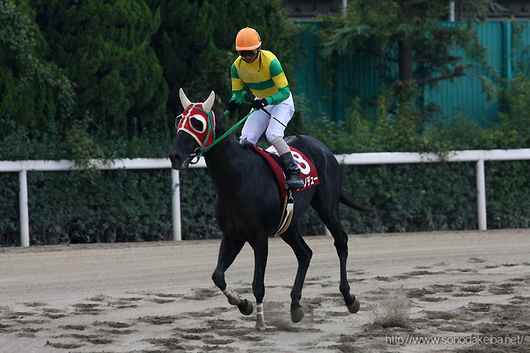 �j�V�m�f���[