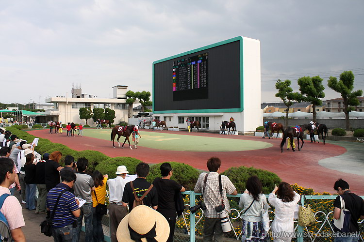 ���c�`�������W�J�b�v