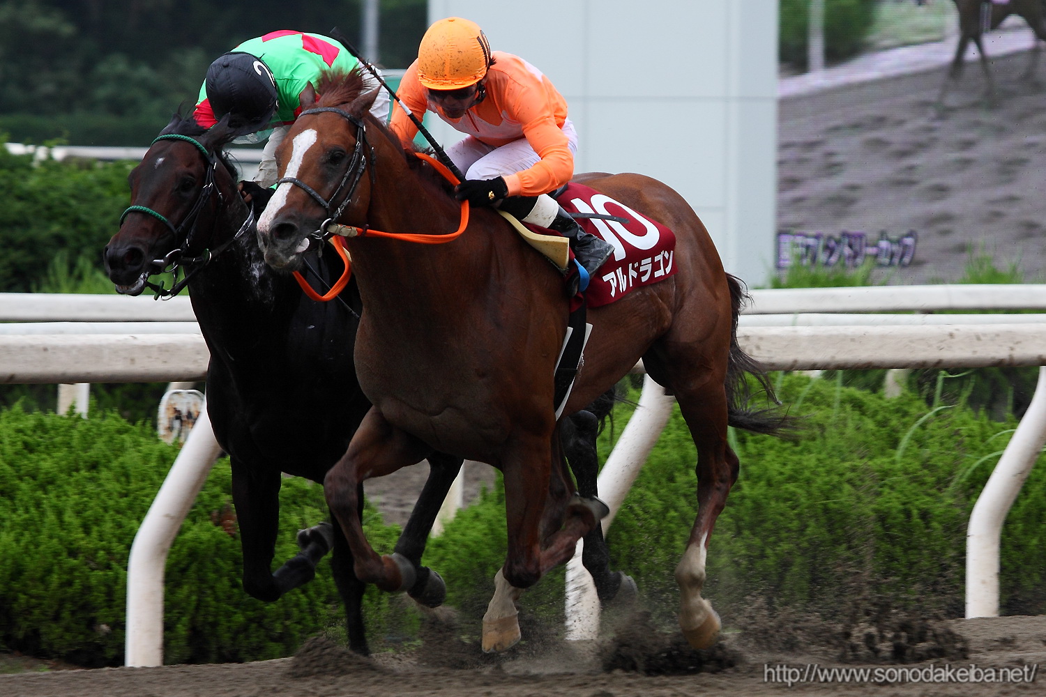 ��7�񉀓c�t�����h���[�J�b�v