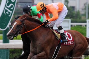 園田フレンドリーカップ
