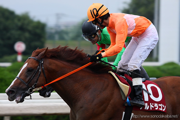 ���c�t�����h���[�J�b�v