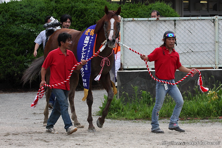 ���c�t�����h���[�J�b�v