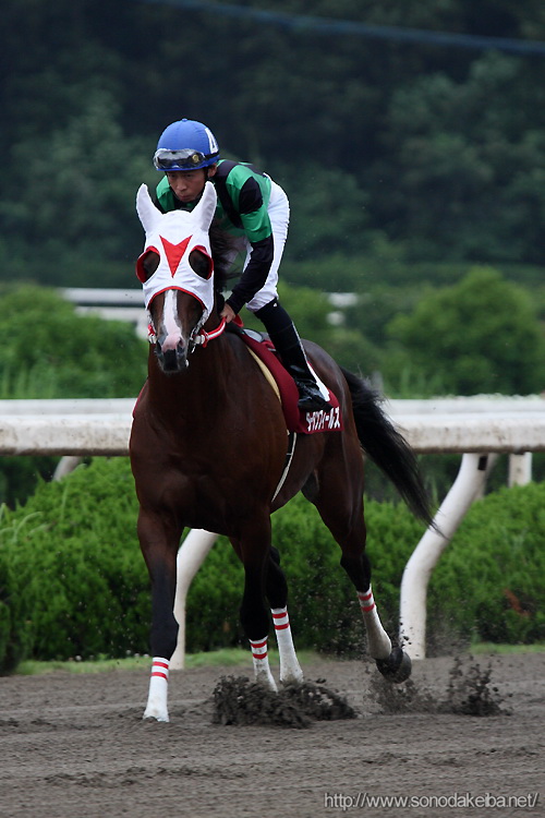 ���c�t�����h���[�J�b�v