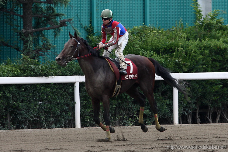 ���c�t�����h���[�J�b�v