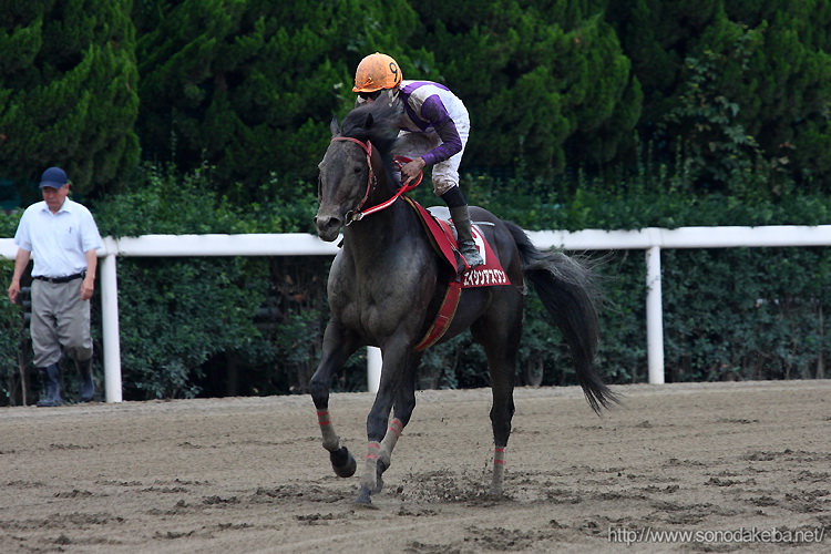 ���c�t�����h���[�J�b�v