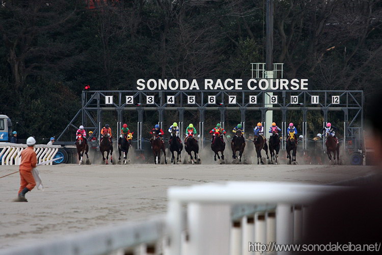 ���c�N�C�[���Z���N�V����