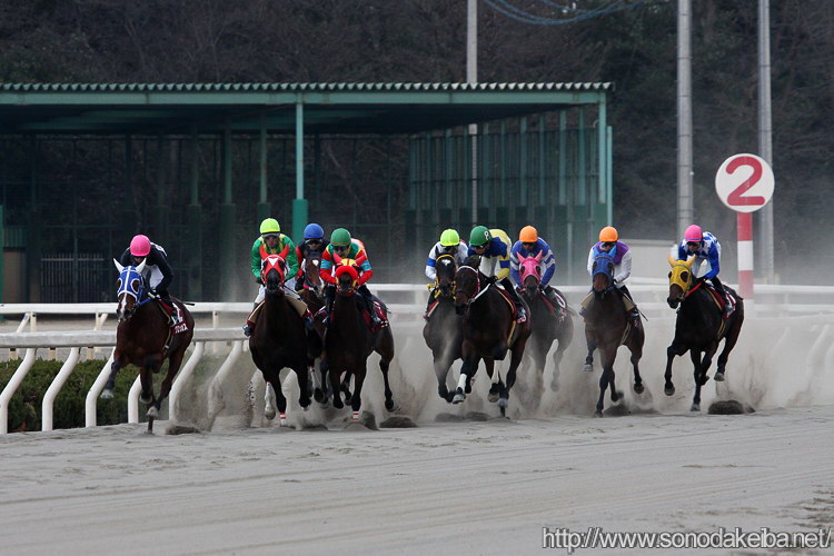 ���c�N�C�[���Z���N�V����