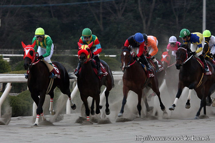 ���c�N�C�[���Z���N�V����