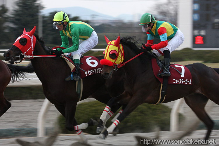 ���c�N�C�[���Z���N�V����