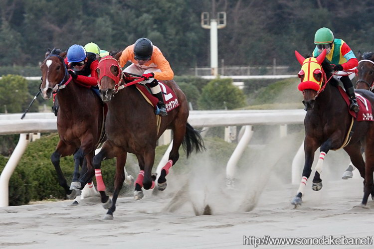 ���c�N�C�[���Z���N�V����