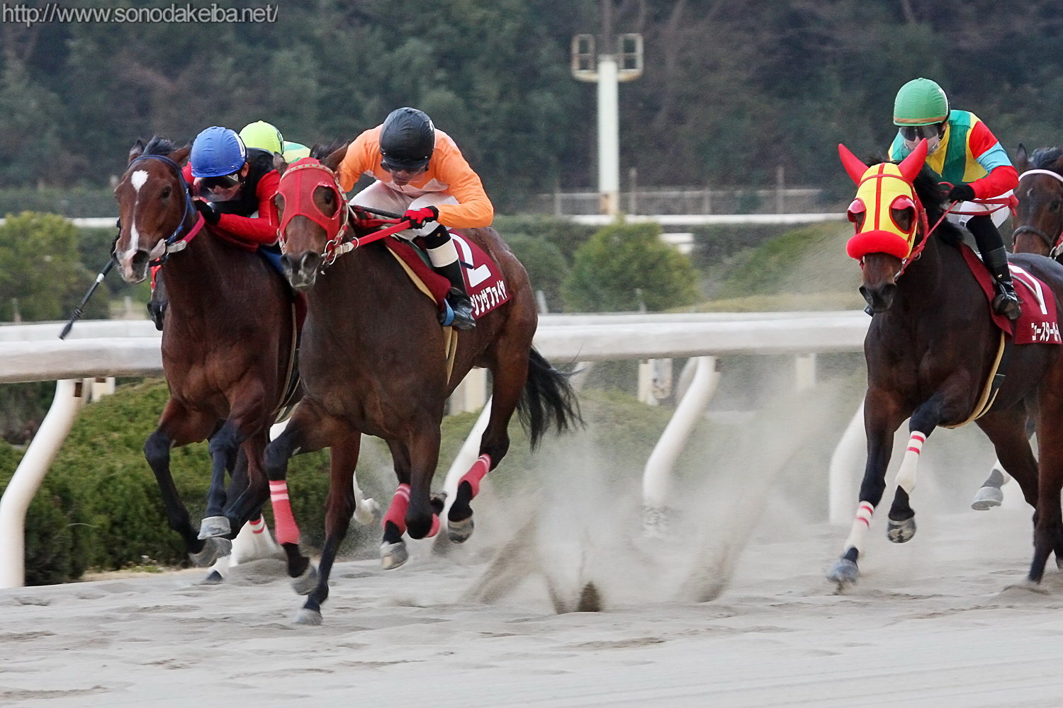 ��10�񉀓c�N�C�[���Z���N�V����