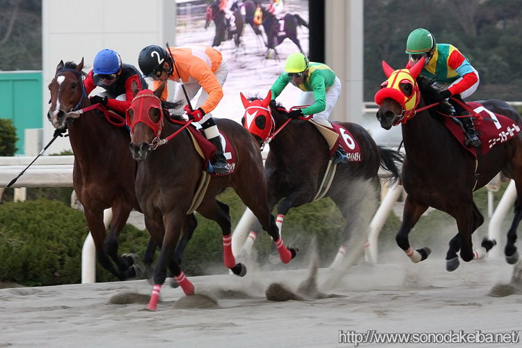 ���c�N�C�[���Z���N�V����