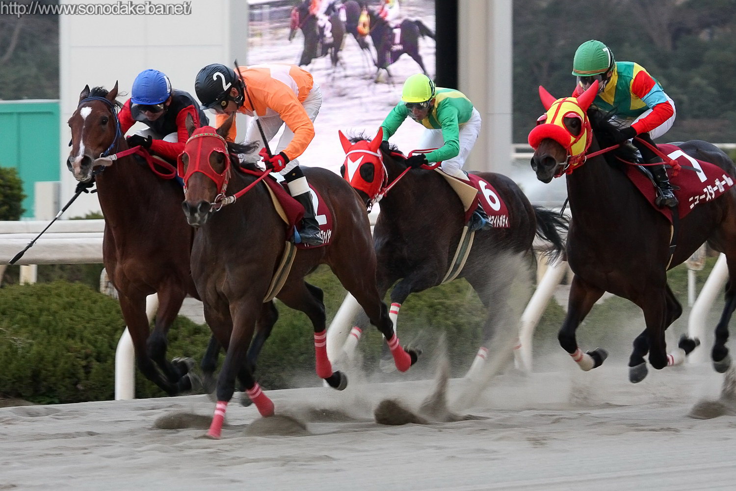 ��10�񉀓c�N�C�[���Z���N�V����