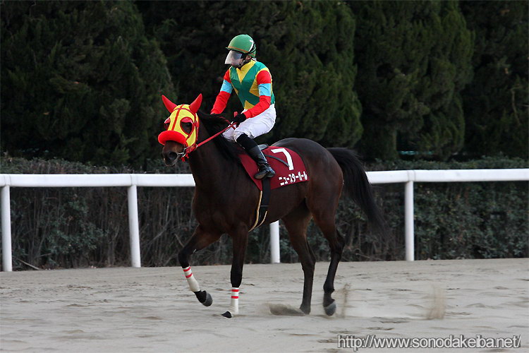 ���c�N�C�[���Z���N�V����