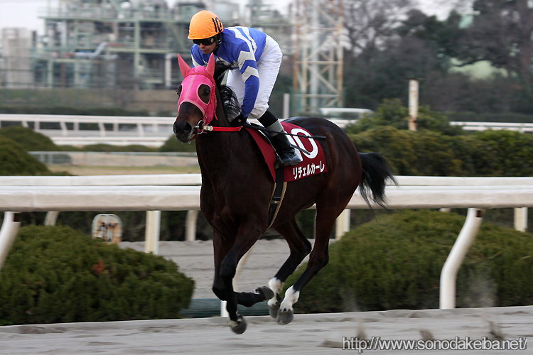 ���c�N�C�[���Z���N�V����