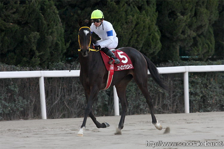 ���c�N�C�[���Z���N�V����