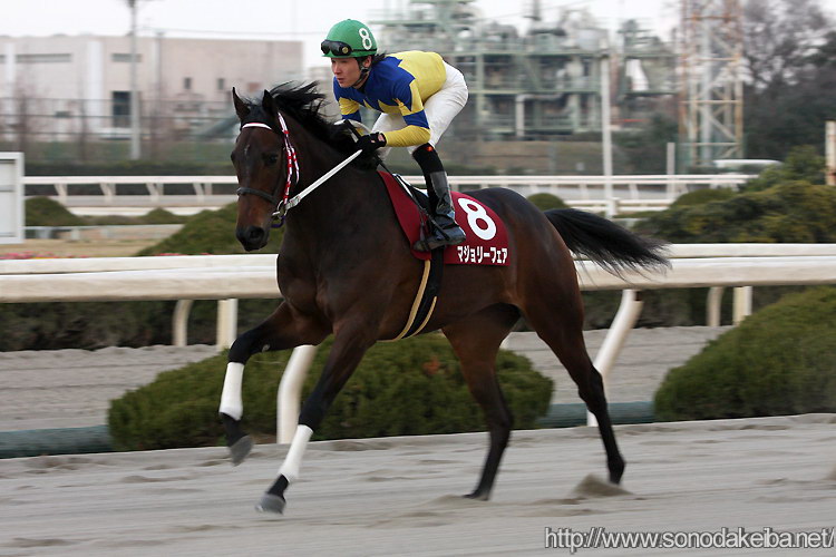 ���c�N�C�[���Z���N�V����