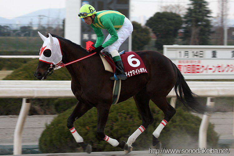 ���c�N�C�[���Z���N�V����