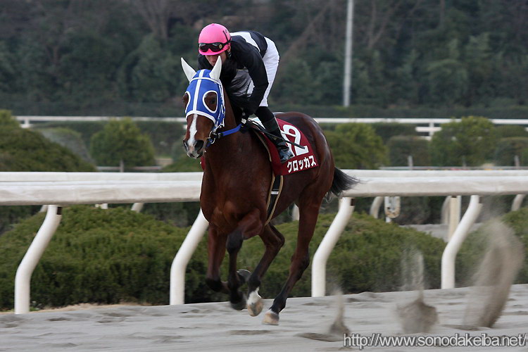 ���c�N�C�[���Z���N�V����