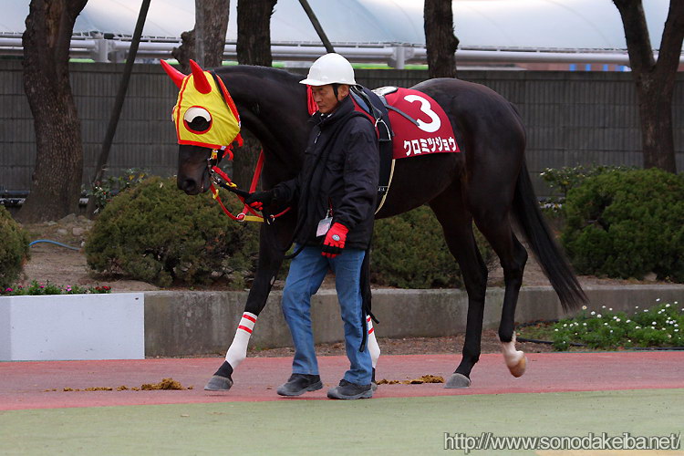 ���c�N�C�[���Z���N�V����