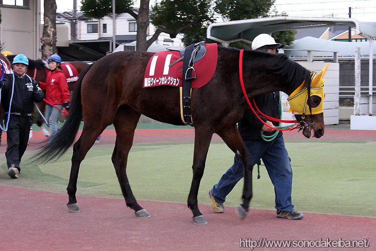 ���c�N�C�[���Z���N�V����