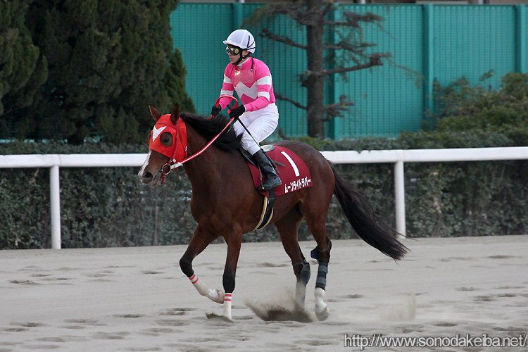 ���c�N�C�[���Z���N�V����